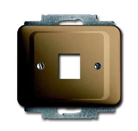 Busch-Jaeger 2561-21 central plate, with support ring bronze