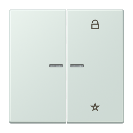 Jung FMLC1701215 eNet button universal 1-way 2-way, Duroplast, LS series, pale cerulean ( LC32034 )