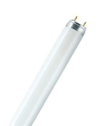 Osram 4050300517957 Lamp Fluorescent Tube Plus, White