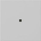 Gira 5371015 1f unprinted control f. Sys 55 gr with rocker