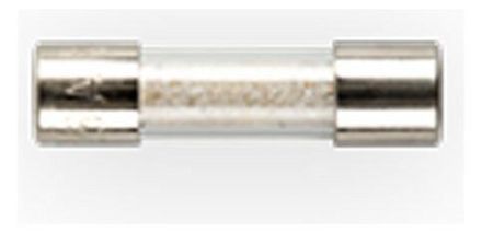 Gossen Metrawatt Z109G fuses M 125mA/250V, 10 pieces