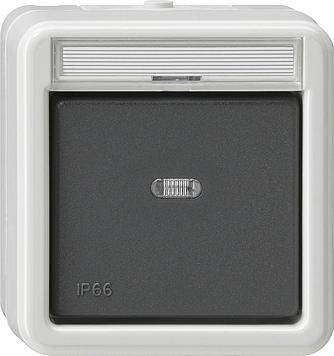 Gira 011631 rocker switch control change WD surface-mounted grey
