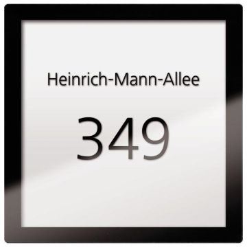 TCS AMI11300-0000 black info module