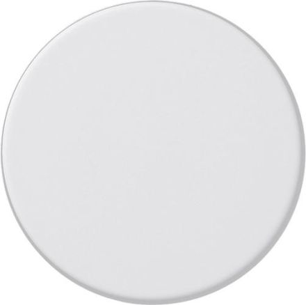 Gira 091027 dimmer button System 55 pure white matt
