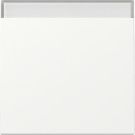 Gira 329927 BSF Sys.55 rws with rocker