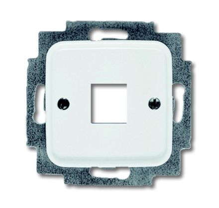 Busch-Jaeger 2561-214 central plate, with support ring alpine white