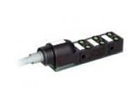 Murrelektronik 8000-86010-3500300 Exact8 6xM8 3-pin 3.0m PUR/PVC distributor