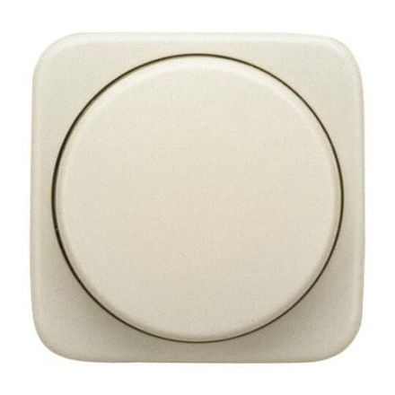 Busch-Jaeger 2CKA006599A3033 2115/11-212-500 SI central plate