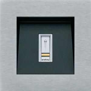 Elcom REN234Y stainless steel matt MODESTA 76x76 module