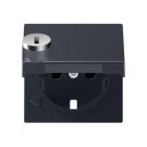 Jung A1520KLSLPLANM central plate for SCHUKO® socket inserts, hinged lid, thermoplastic painted, series A, matt anthracite