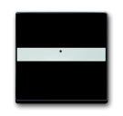 Busch-Jaeger 1764 NLI-81 rocker switch, with label field anthracite