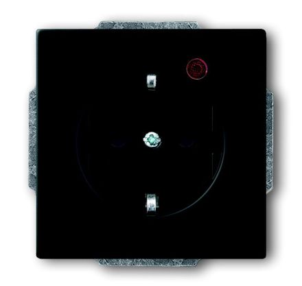 Busch-Jaeger 2310EUGL/VA-885-11 Busch-Protector® SCHUKO® socket insert, with surge protection, matt black