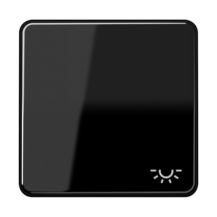 Jung CD590LSW rocker switch 1-way, symbol light, Duroplast, CD series, black