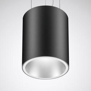 Trilux 9002015625 SNS RH5-2R MRVFL-19 20-940 ETDD 05 LED pendant light, grey