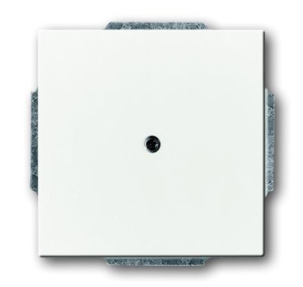 Busch-Jaeger 1749-84 central plate, with support ring studio white