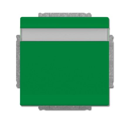 Busch-Jaeger 20 EUKNB-13-82 SCHUKO® socket insert, with hinged lid and labelling field green RAL 6032
