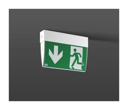 RZB 672400.002 Exeo D 4W 255x48x177 3h LED emergency light