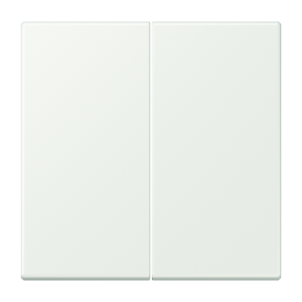 Jung LC1702210 LB-Management button 2-way, Duroplast painted, LS series, outremer gris ( LC32024 )