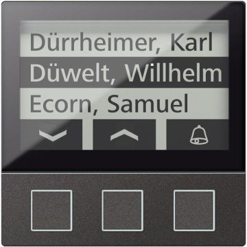 TCS AMI11603-0057 with 3 buttons 256 WE black display