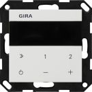 Gira 232027 IP System 55 rws with flush-mounted radio