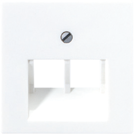 Jung A569-2BFPLUAWW cover for IAE/UAE connection boxes 2 x 8-pin, thermoplastic, AS/A series, alpine white