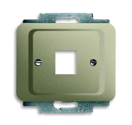 Busch-Jaeger 2561-260 central plate, with support ring palladium