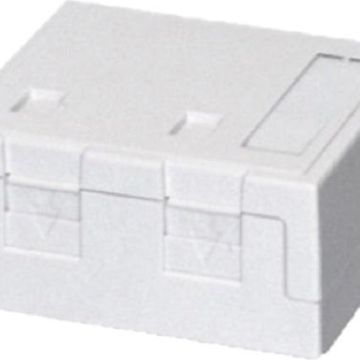Dätwyler 418037 Surface-mounted for 2xKeystone with dust protection data connection box pure white