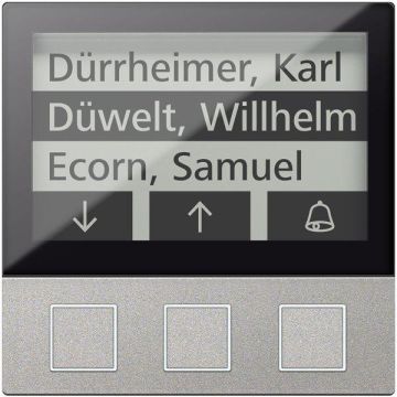 TCS AMI11603-0010 with 3 buttons 256 WE silver display