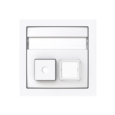 Busch-Jaeger 2CKA001582A0447 2-f.Infoline central plate