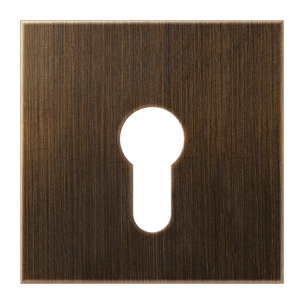 Jung ME2925AT cover for key switch without dismantling protection, brass, LS series, antique brass