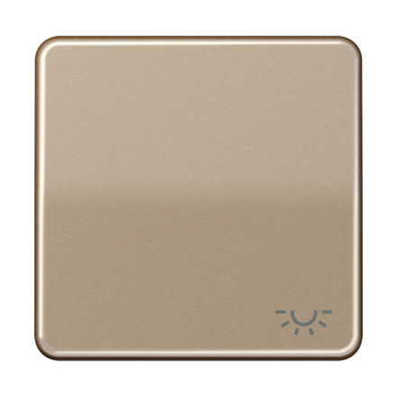 Jung CD590LGB rocker switch 1-way, symbol light, anodized aluminum, CD series, gold-bronze