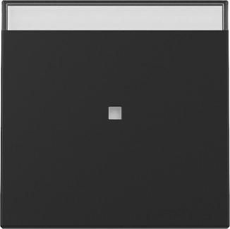 Gira 3670005 control + BSF Sys.55 black with rocker