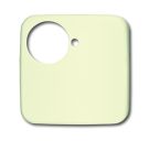 Busch-Jaeger 1790-581-212 central plate white