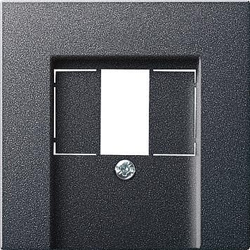 Gira 027628 Cover TAE+Stereo+USB System 55 Anthracite
