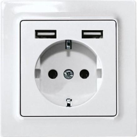 Eltako 30055892 DSS55E+2xUSBA-pm polar white matt socket