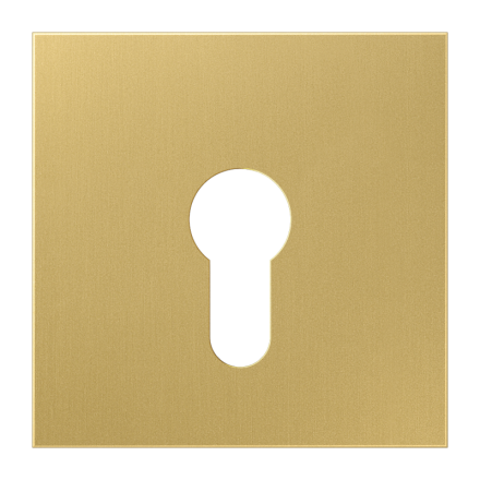 Jung ME2925C cover for key switch without dismantling protection, brass, LS series, brass classic