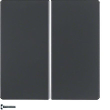 BERKER 85648126 KNX RF button quicklink Q.1/Q.3 | 2-fold | anthracite matt