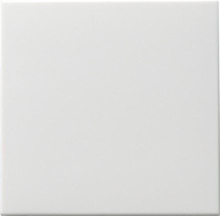 Gira 091627 rocker switch changeover system 55 pure white matt