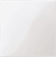 MERTEN 450019 Central plate polar white glossy System M