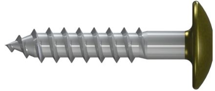 Reisser 000812W038-05503502-10 FPS facade panel screw TX RN 812, ETA, 5.5 X 35, stainless steel A4, pickled, passivated, packed in 100 pieces, RAL 6005, moss green, head painted