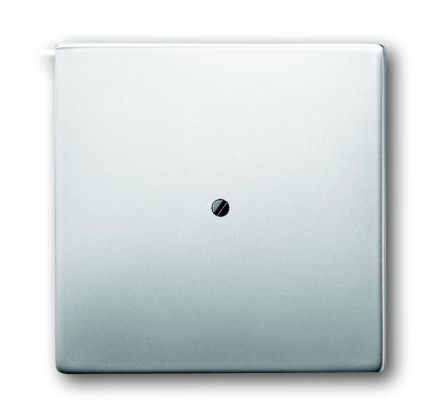 Busch-Jaeger 1745-866 central plate stainless steel