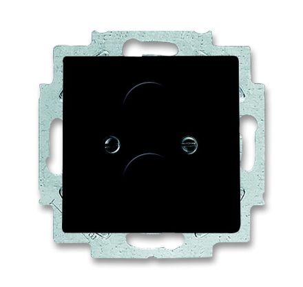 Busch-Jaeger 1750-81 central plate, with support ring anthracite