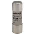 Mersen J213609J FR22GG69V40 40A gG AC400-690V 22x58 cylindrical fuse link