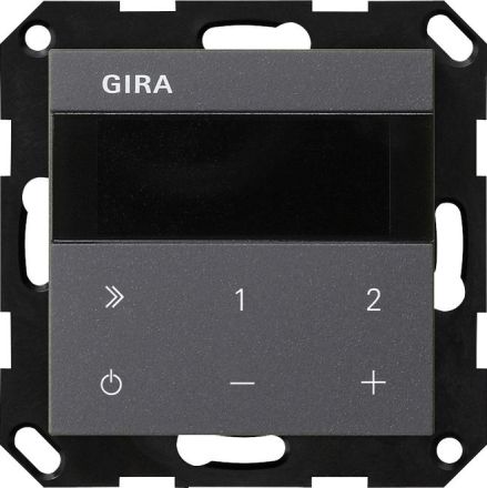 Gira 232028 IP System 55 anthra flush-mounted radio