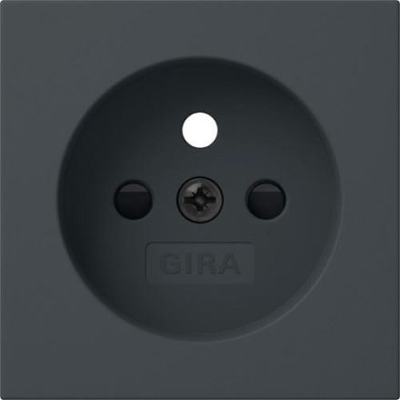 Gira 494528 SDO earth pin SH Sys55 anthr cover
