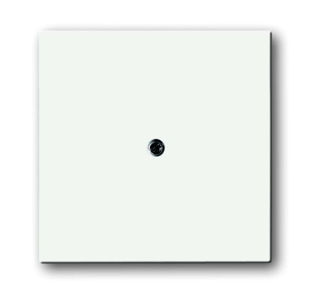 Busch-Jaeger 1745-884 central plate studio white matt