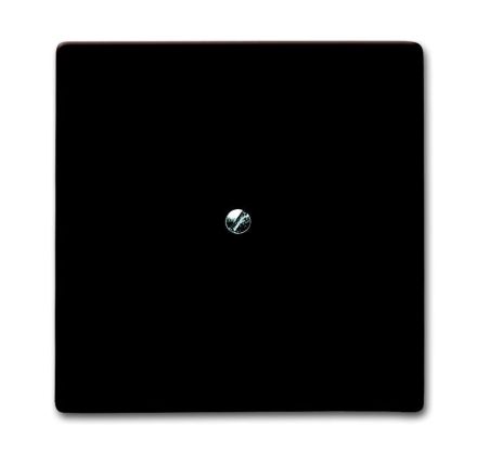 Busch-Jaeger 2138-31 blind central plate, with brown support ring