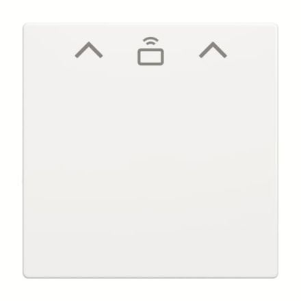 Busch-Jaeger 2CKA001710A4127 1792 RFID-84 card switch RFI central plate