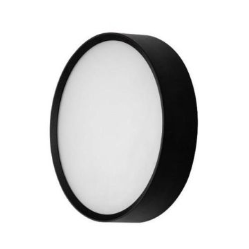 Brumberg 10036183 black 12W 720lm 3000/4000/5700 K IP65 LED wall light LB20