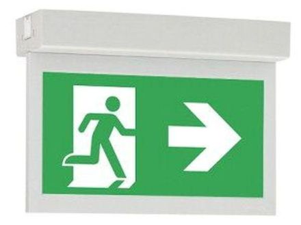 CEAG emergency light 1821 1-8h/D CGLine+ ceiling mounting LED emergency light
